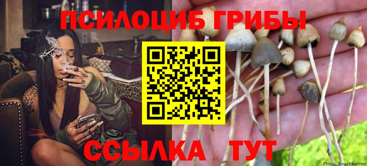 Псилоцибиновые грибы Cubensis Киров