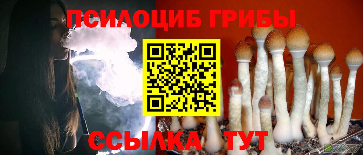Псилоцибиновые грибы GOLDEN TEACHER  Вход с VPN  Киров 